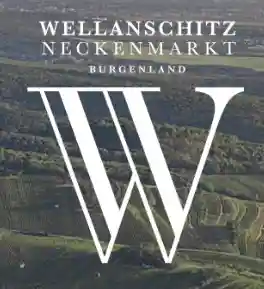 wellanschitz.at